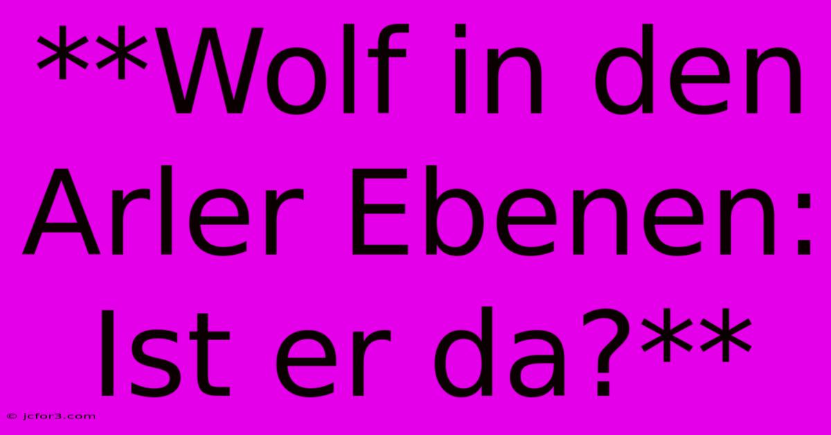 **Wolf In Den Arler Ebenen: Ist Er Da?**